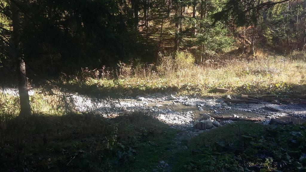 Chata Vo Vyhnanej Otel Terchová Dış mekan fotoğraf